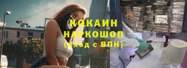 гашик Новозыбков