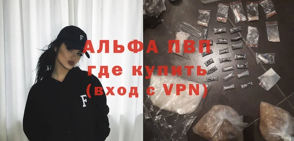 гашик Новозыбков