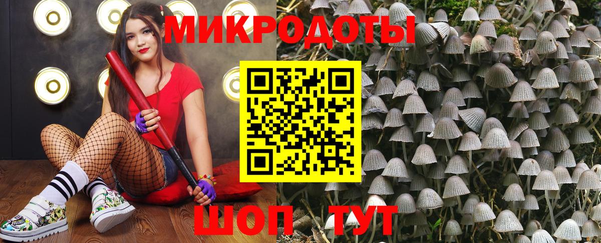 цена наркотик  Вход с VPN  Знаменск  Галлюциногенные грибы MAGIC MUSHROOMS 